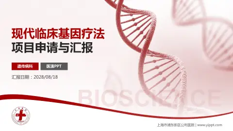 上海市浦东新区公利医院项目申请与汇报PPT模板