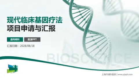 上海市浦东医院项目申请与汇报PPT模板