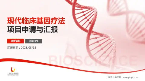 上海市儿童医院项目申请与汇报PPT模板