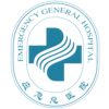 应急总医院logo