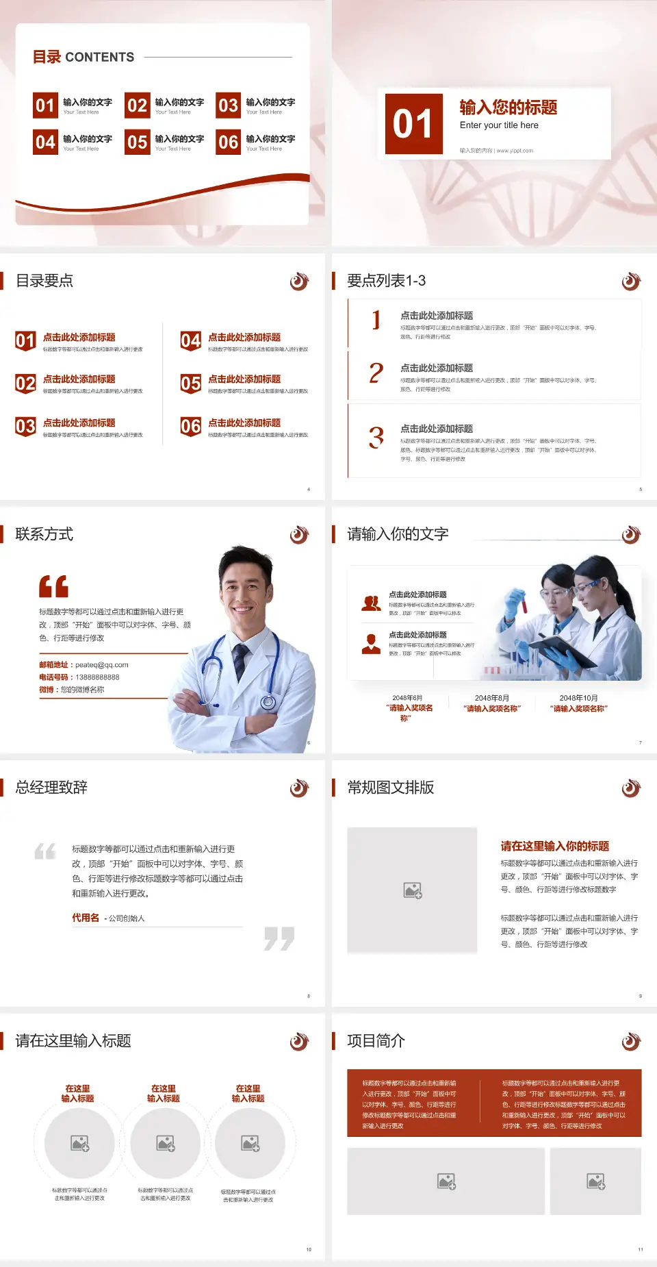 中国中医科学院西苑医院项目申请与汇报PPT模板4:3格式幻灯片预览图2