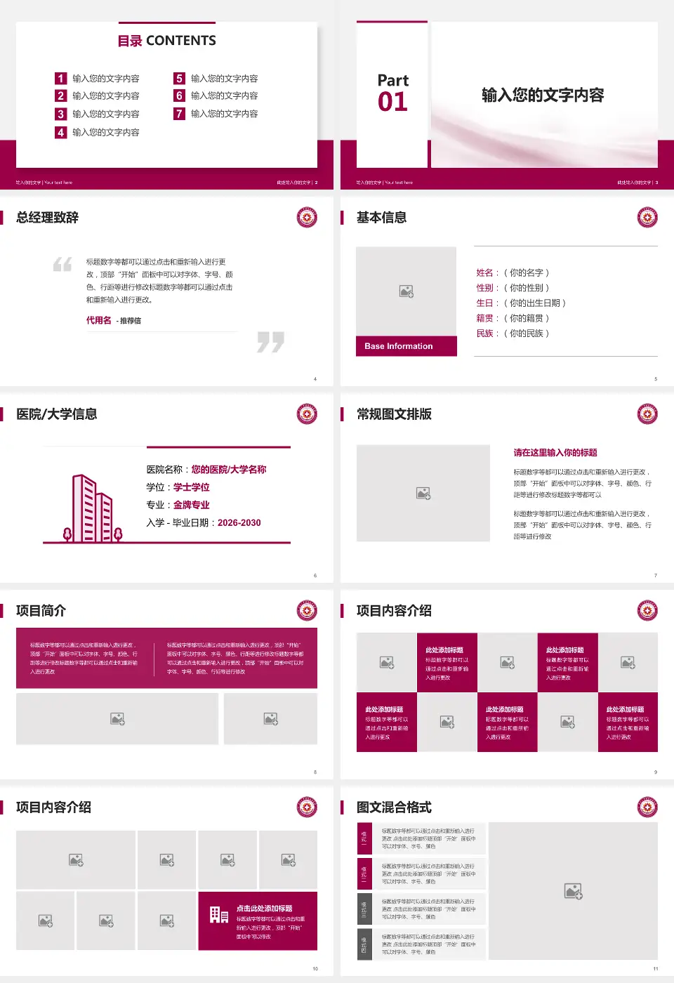 南开大学附属北辰医院个人求职应聘简历PPT模板16:9格式幻灯片预览图2