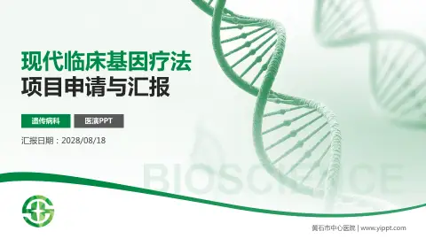 黄石市中心医院项目申请与汇报PPT模板