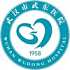 武汉市武东医院logo