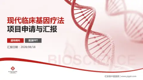 红安县中医医院项目申请与汇报PPT模板