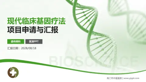 荆门市中医医院项目申请与汇报PPT模板