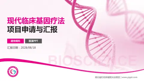 湖北省妇幼保健院光谷院区项目申请与汇报PPT模板