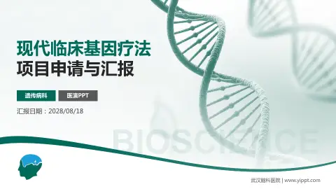 武汉脑科医院项目申请与汇报PPT模板