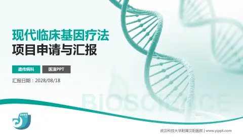 武汉科技大学附属汉阳医院项目申请与汇报PPT模板