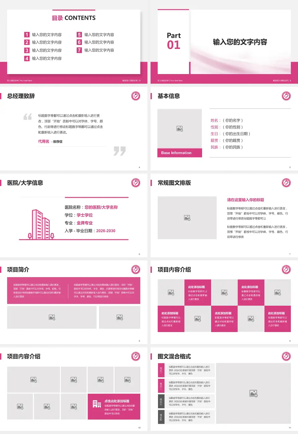 襄阳市妇幼保健院个人求职应聘简历PPT模板16:9格式幻灯片预览图2