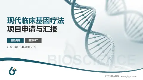 武汉市第六医院项目申请与汇报PPT模板