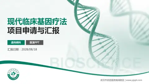 武汉市武昌医院南湖院区项目申请与汇报PPT模板