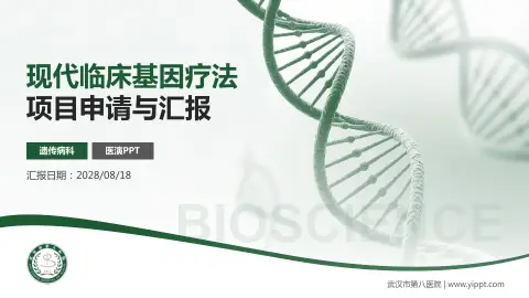 武汉市第八医院项目申请与汇报PPT模板