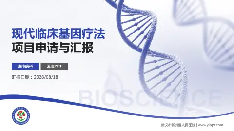 武汉市新洲区人民医院项目申请与汇报PPT模板