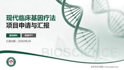 武汉市汉口医院项目申请与汇报PPT模板