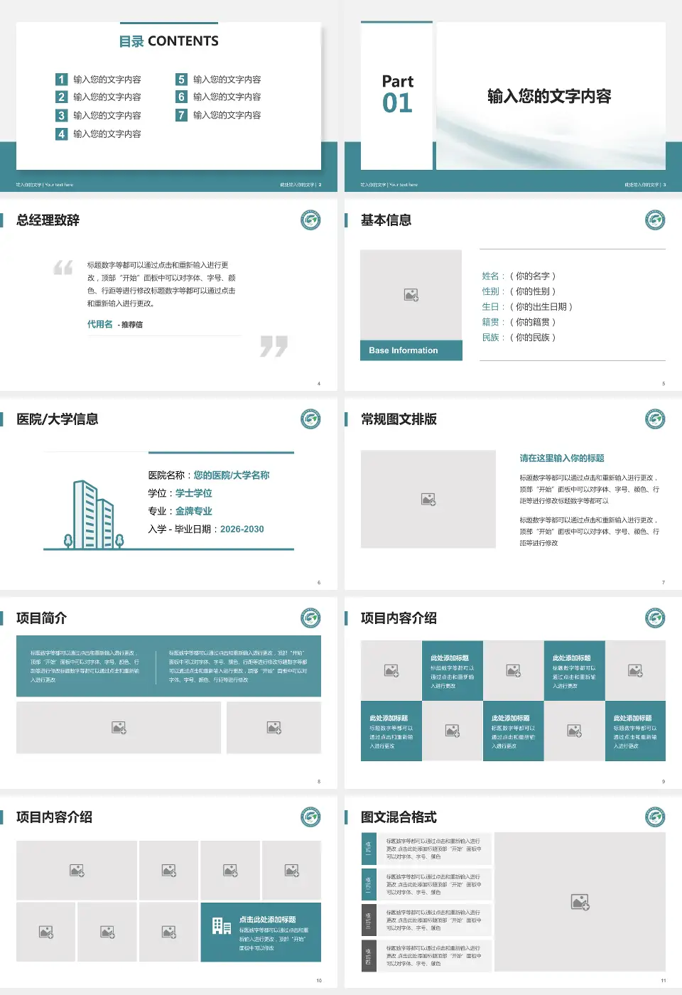 洛阳市第五人民医院白马寺院区个人求职应聘简历PPT模板16:9格式幻灯片预览图2