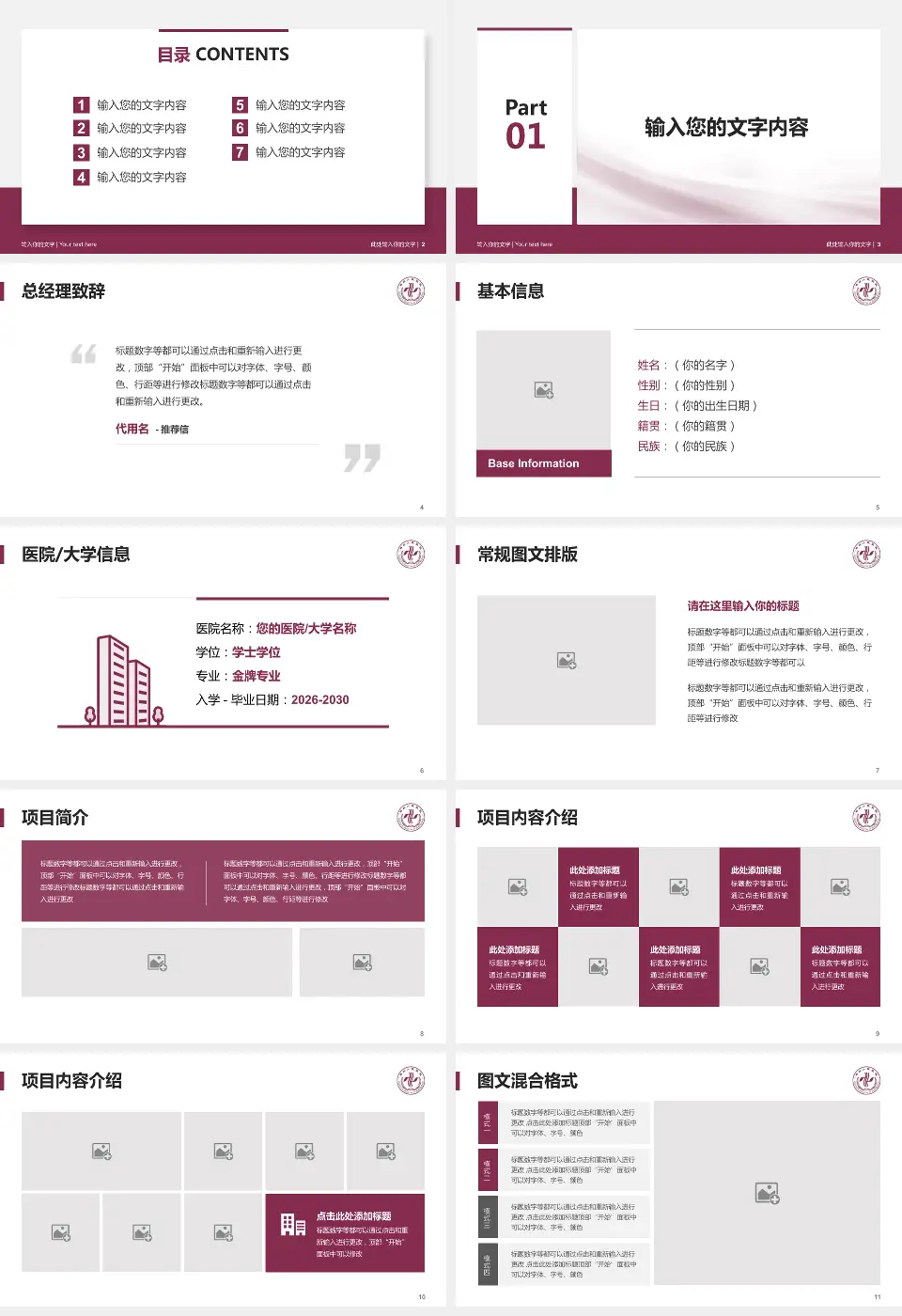 郑州人民医院总院个人求职应聘简历PPT模板16:9格式幻灯片预览图2