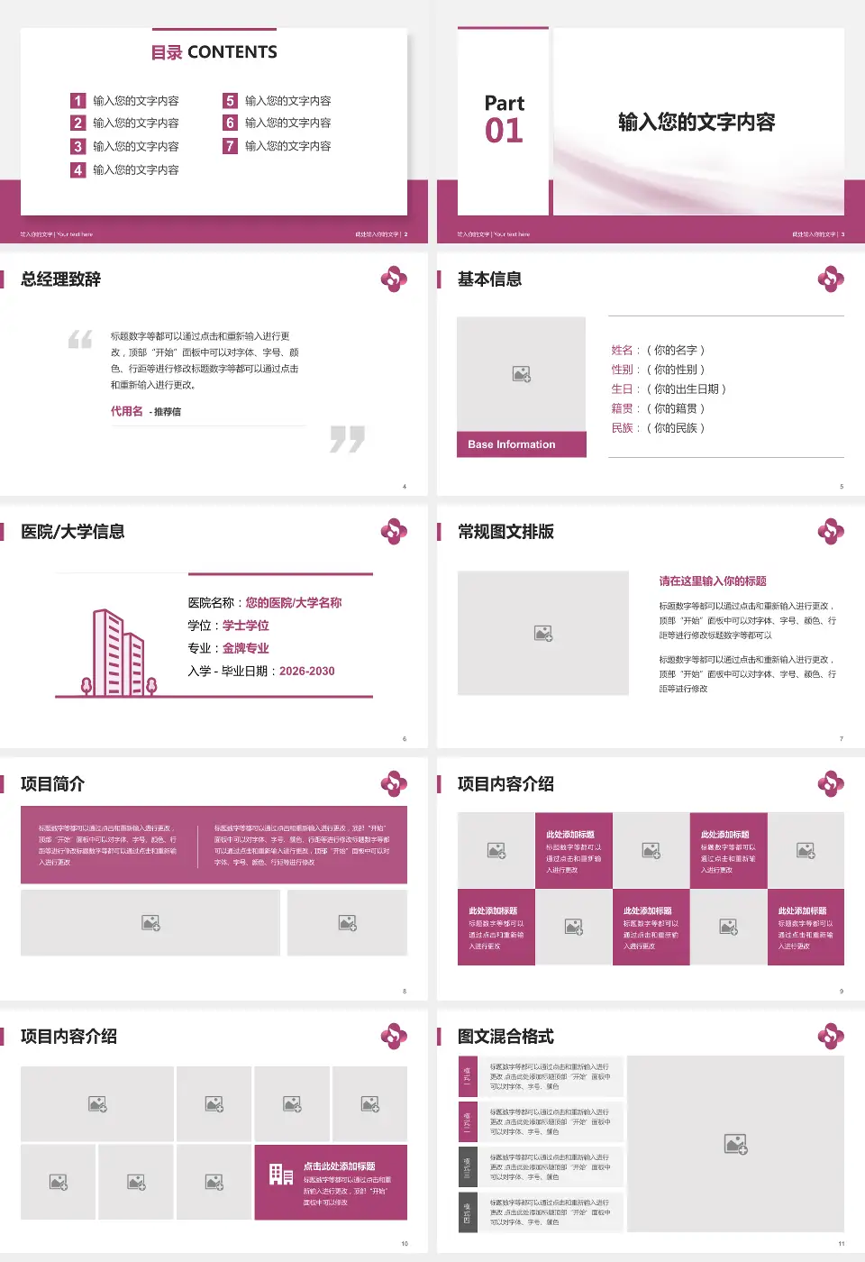 焦作市妇幼保健院个人求职应聘简历PPT模板16:9格式幻灯片预览图2