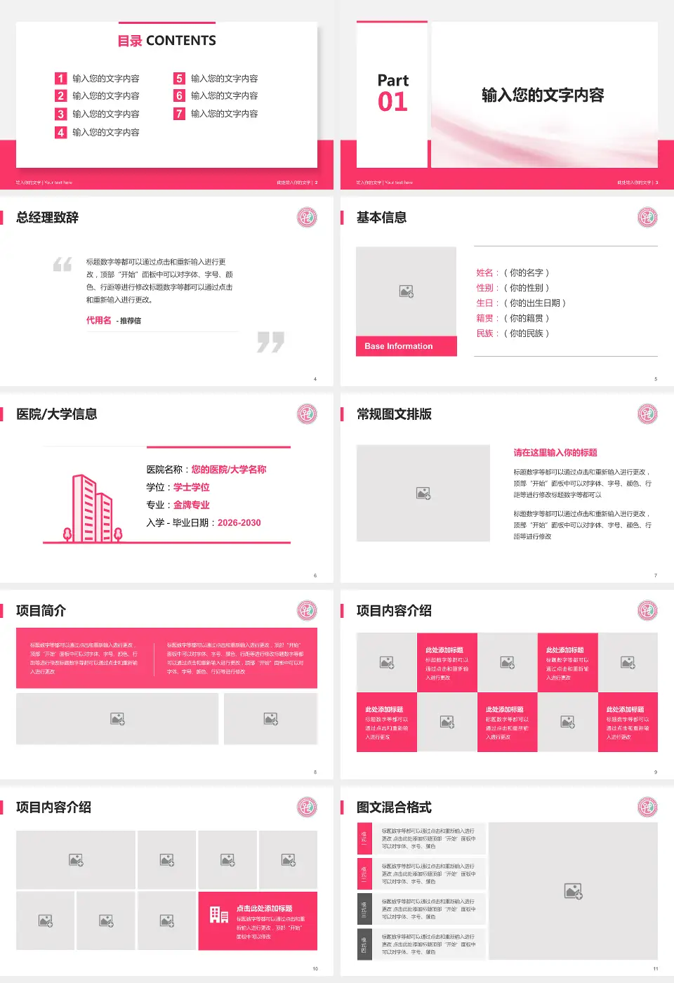 安阳市妇幼保健院个人求职应聘简历PPT模板16:9格式幻灯片预览图2