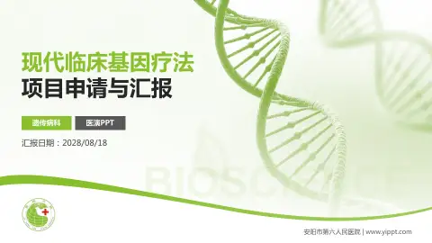 安阳市第六人民医院项目申请与汇报PPT模板