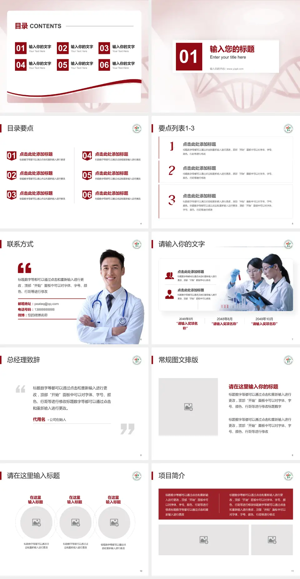 南皮县人民医院项目申请与汇报PPT模板4:3格式幻灯片预览图2