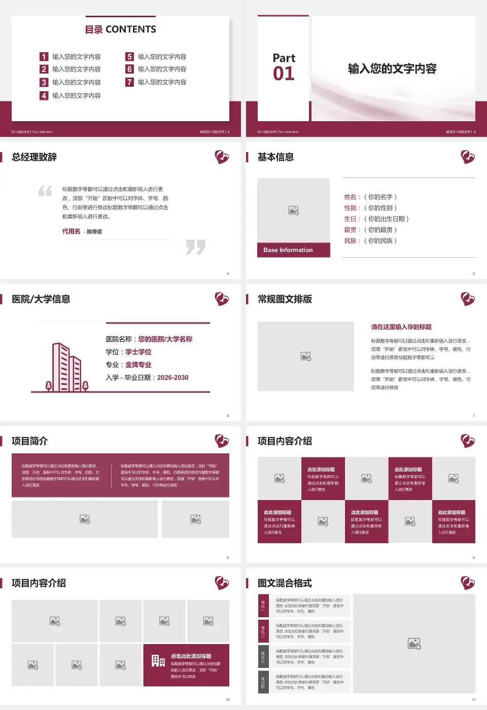 石家庄市第四医院高新院区个人求职应聘简历PPT模板16:9格式幻灯片预览图2