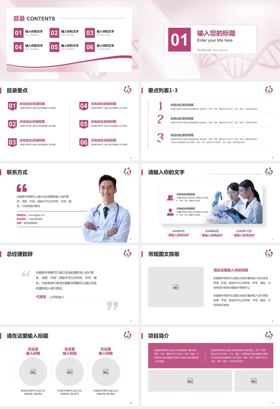 邯郸市妇幼保健院项目申请与汇报PPT模板16:9格式幻灯片预览图2