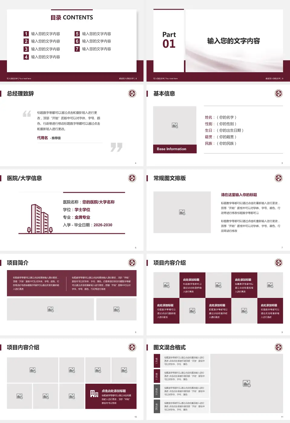 瑞安市中医院个人求职应聘简历PPT模板16:9格式幻灯片预览图2