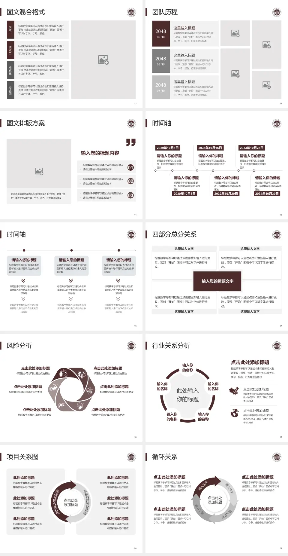 温州市中心医院项目申请与汇报PPT模板4:3格式幻灯片预览图3