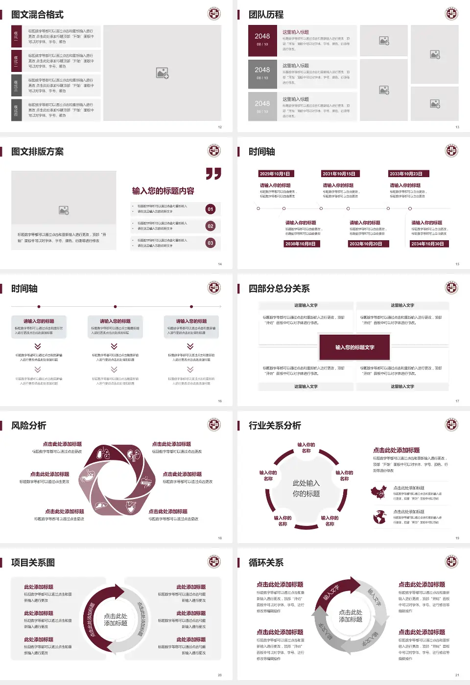 瑞安市中医院项目申请与汇报PPT模板16:9格式幻灯片预览图3