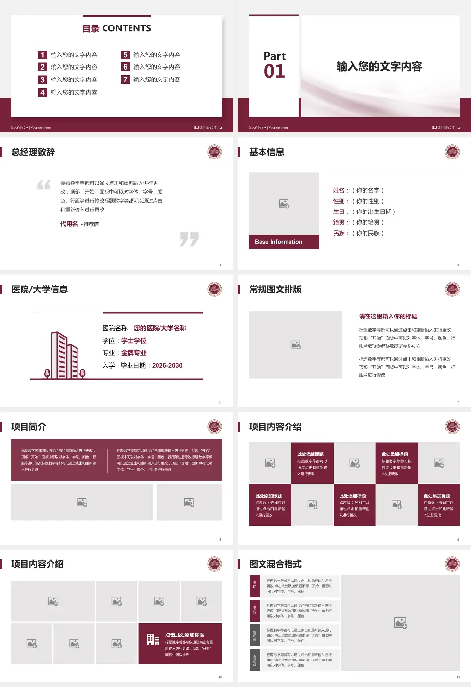 平阳县人民医院个人求职应聘简历PPT模板16:9格式幻灯片预览图2