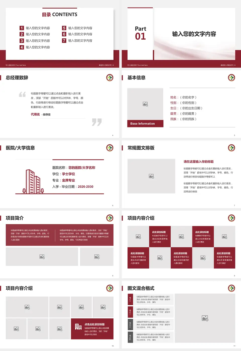 浙江中医药大学附属温州中医院个人求职应聘简历PPT模板16:9格式幻灯片预览图2