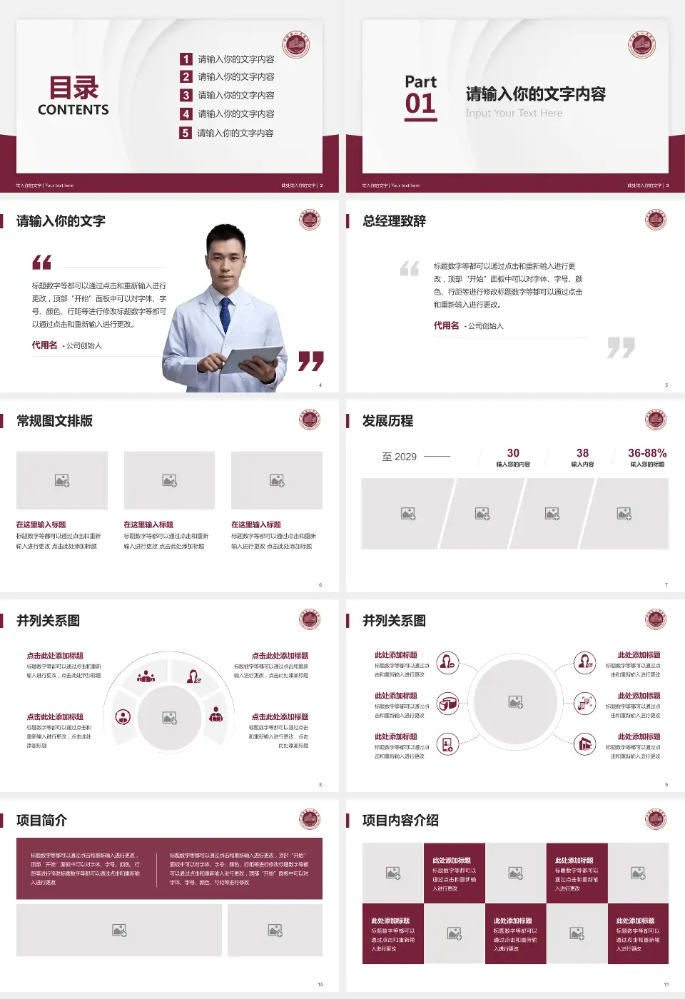 平阳县人民医院医院管理报告PPT模板16:9格式幻灯片预览图2