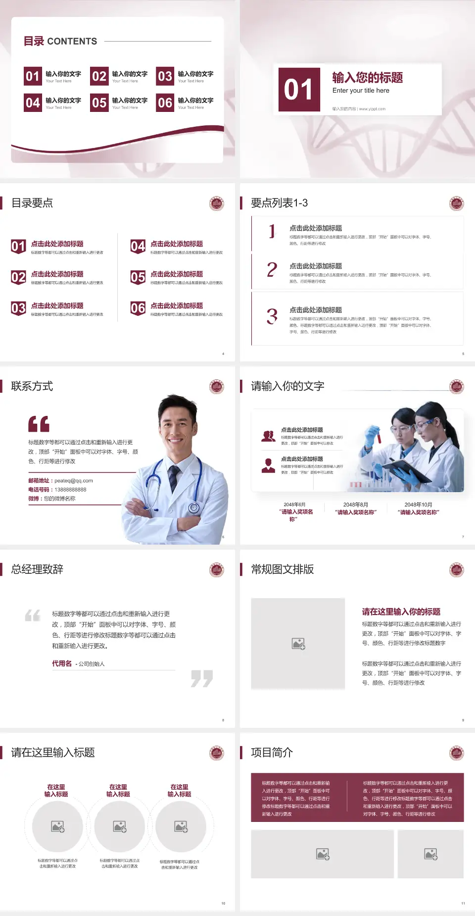 平阳县人民医院项目申请与汇报PPT模板4:3格式幻灯片预览图2