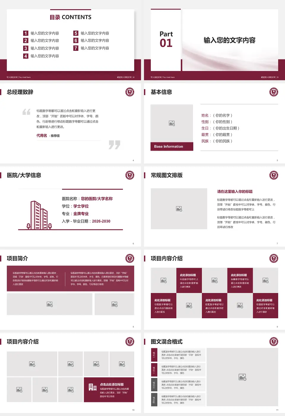 丽水市中心医院个人求职应聘简历PPT模板16:9格式幻灯片预览图2