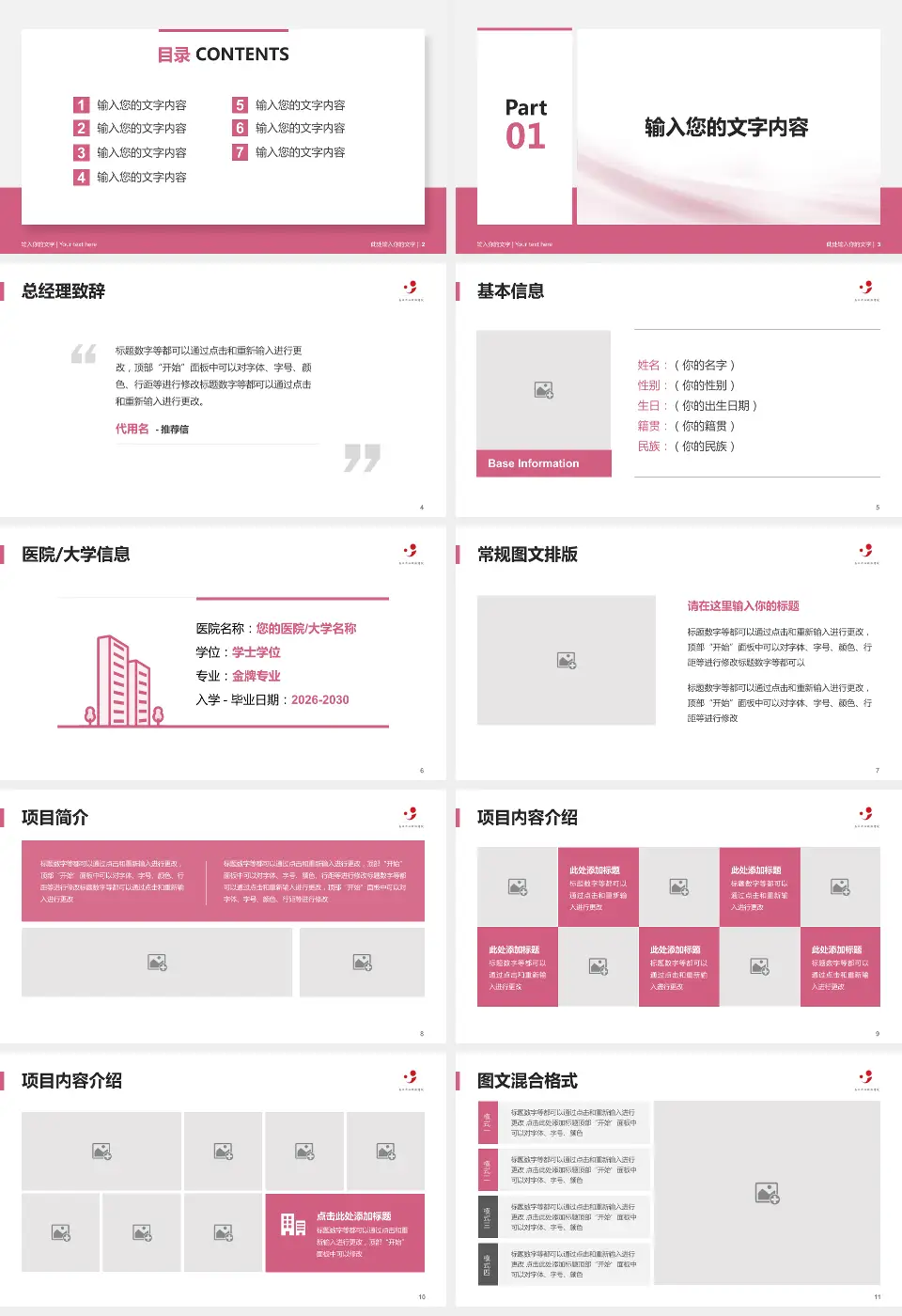 嘉兴市妇幼保健院个人求职应聘简历PPT模板16:9格式幻灯片预览图2