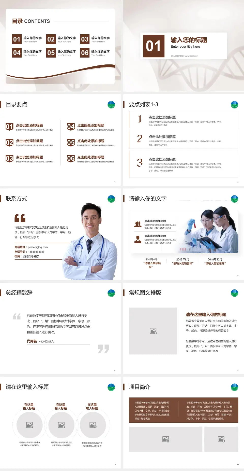 台州骨伤医院项目申请与汇报PPT模板4:3格式幻灯片预览图2