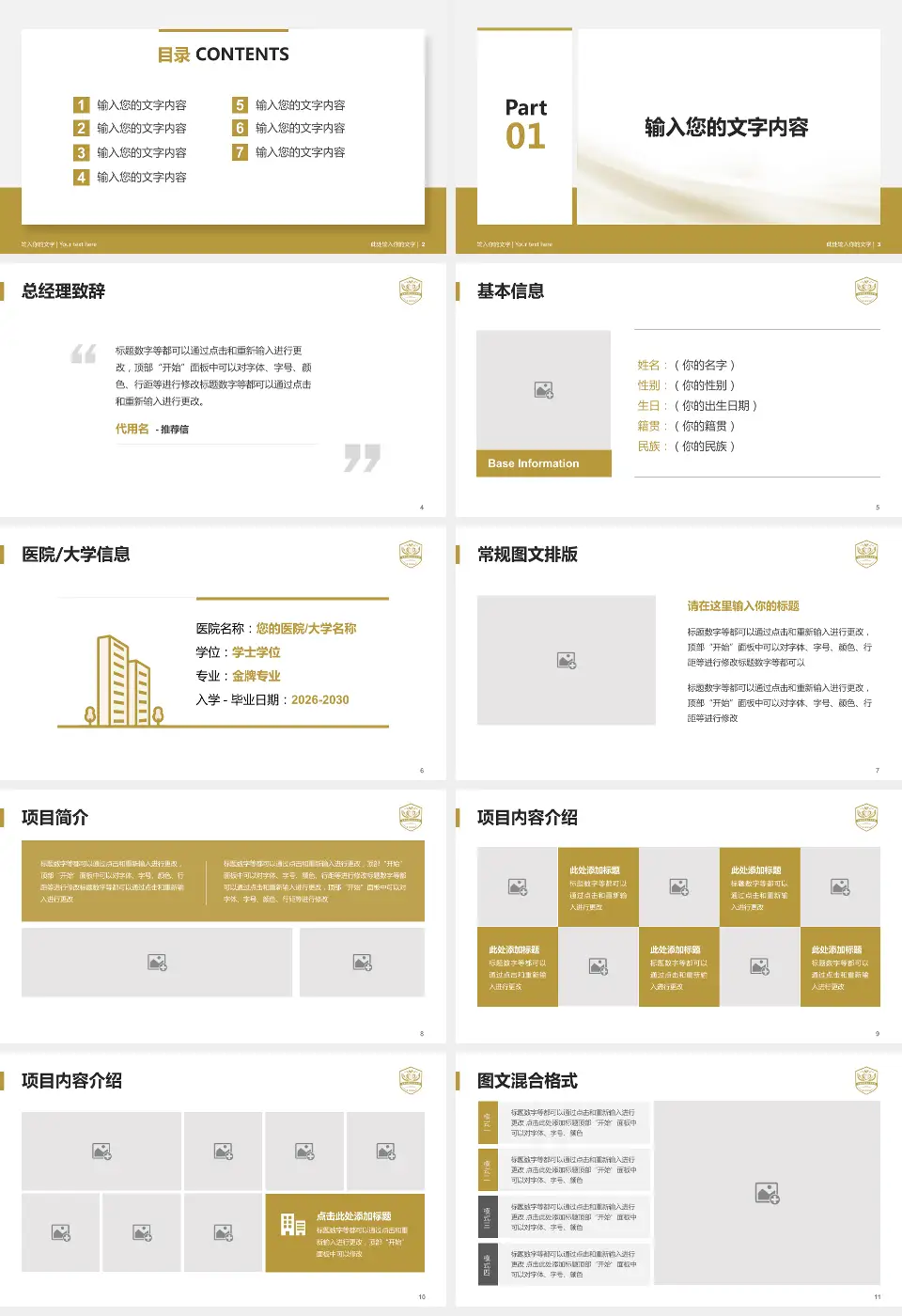 成都市第五人民医院个人求职应聘简历PPT模板16:9格式幻灯片预览图2