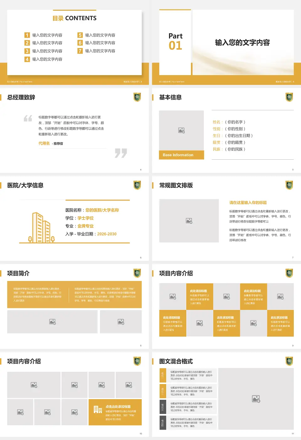 成都市第八人民医院个人求职应聘简历PPT模板16:9格式幻灯片预览图2