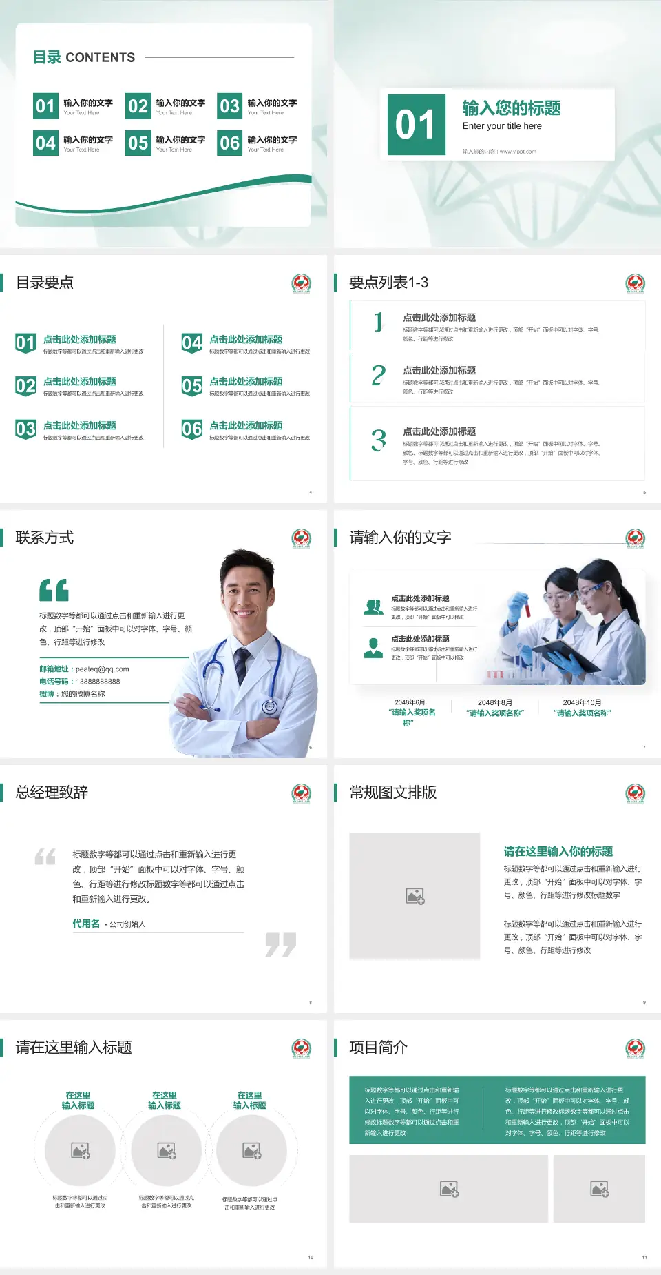 攀枝花市第三人民医院项目申请与汇报PPT模板4:3格式幻灯片预览图2