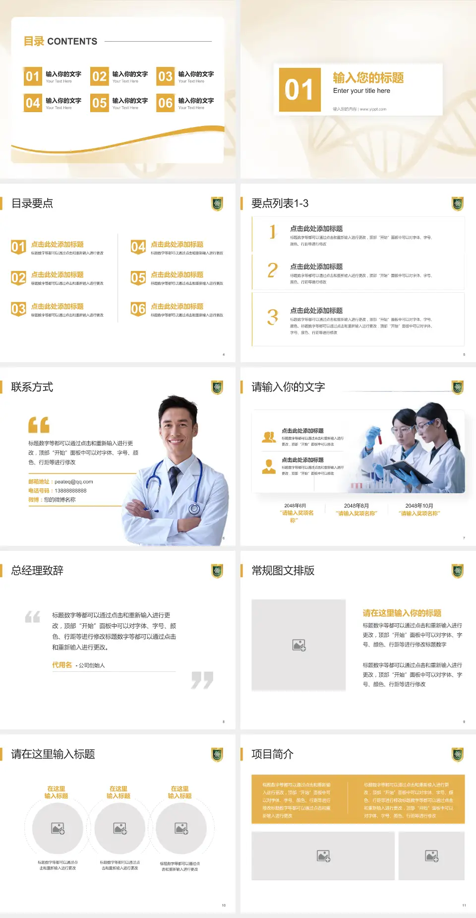 成都市第八人民医院项目申请与汇报PPT模板4:3格式幻灯片预览图2