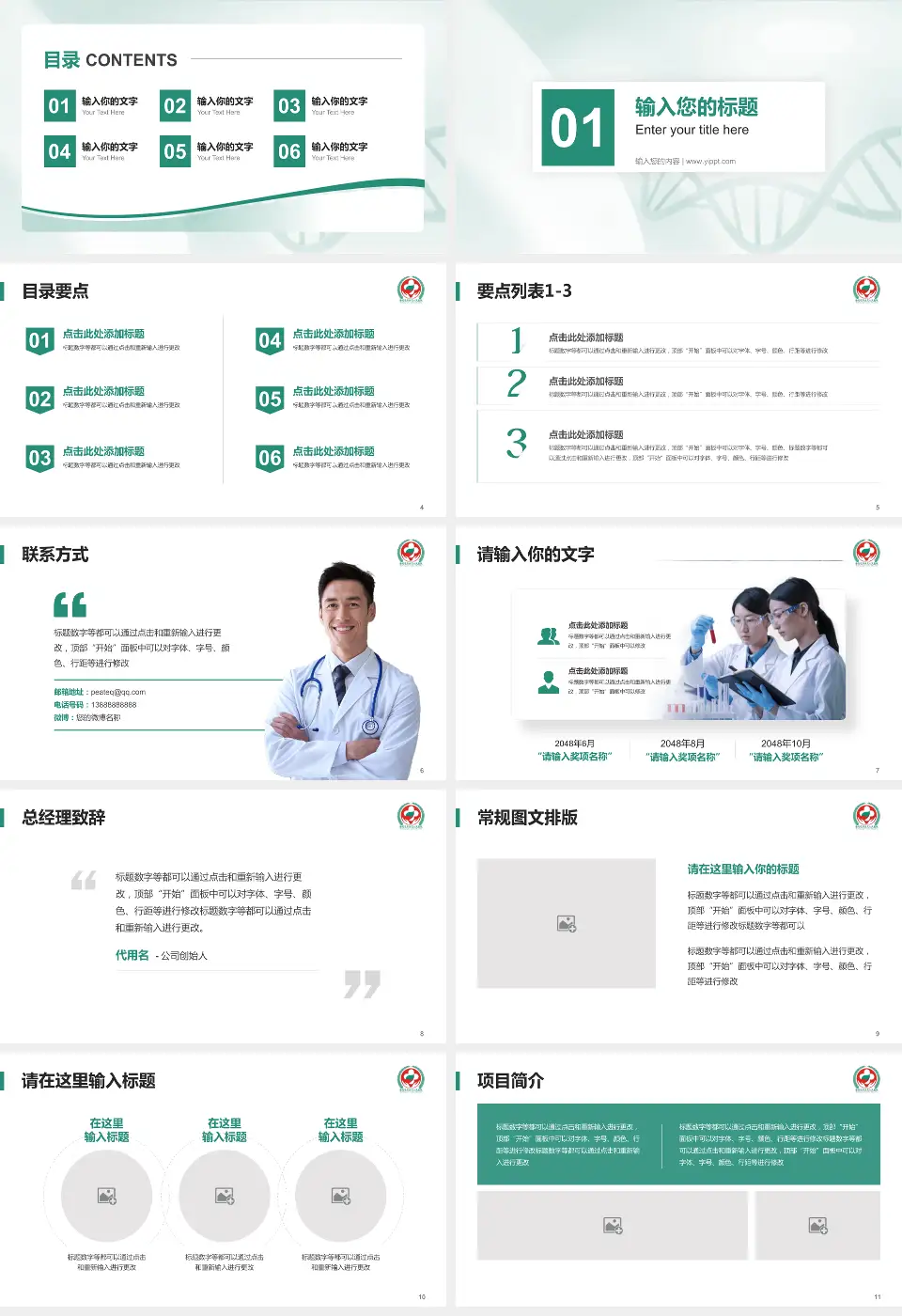 攀枝花市第三人民医院项目申请与汇报PPT模板16:9格式幻灯片预览图2