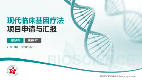 攀枝花市妇幼保健院项目申请与汇报PPT模板