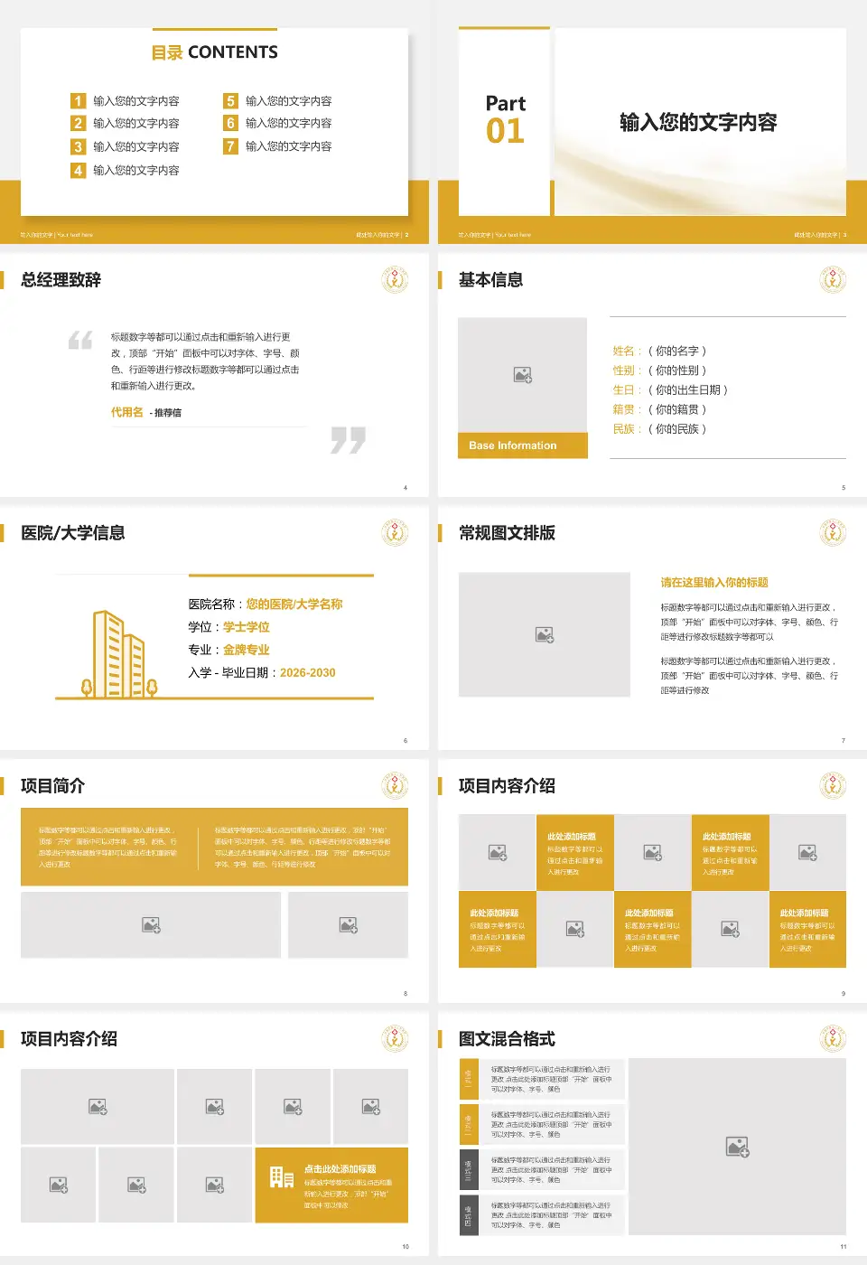 成都市第七人民医院个人求职应聘简历PPT模板16:9格式幻灯片预览图2