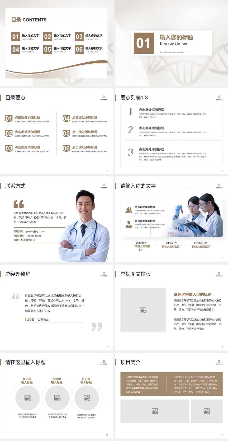 自贡市中医医院项目申请与汇报PPT模板4:3格式幻灯片预览图2