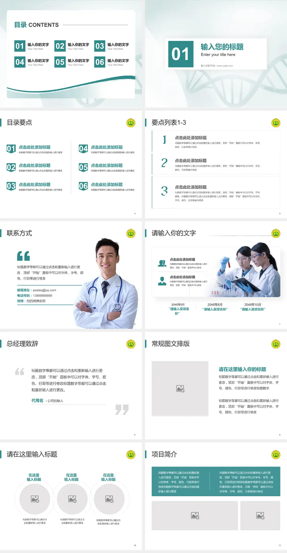 南充市高坪区人民医院项目申请与汇报PPT模板4:3格式幻灯片预览图2