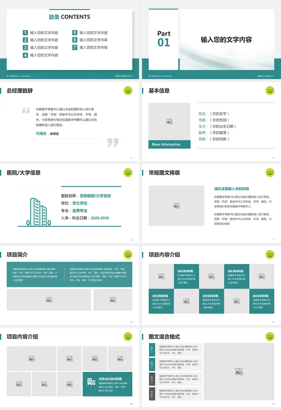 南充市高坪区人民医院个人求职应聘简历PPT模板16:9格式幻灯片预览图2