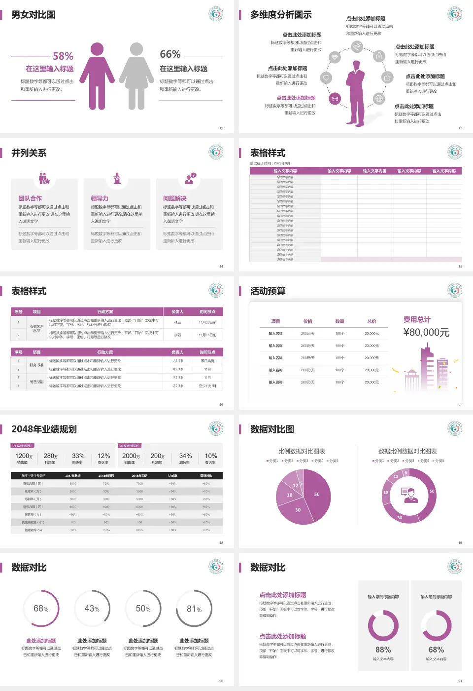 富顺县妇幼保健院财务与预算报告PPT模板16:9格式幻灯片预览图3
