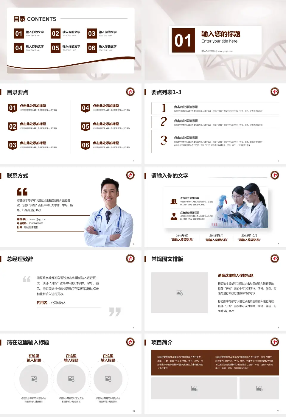 蓬莱市中医医院项目申请与汇报PPT模板16:9格式幻灯片预览图2