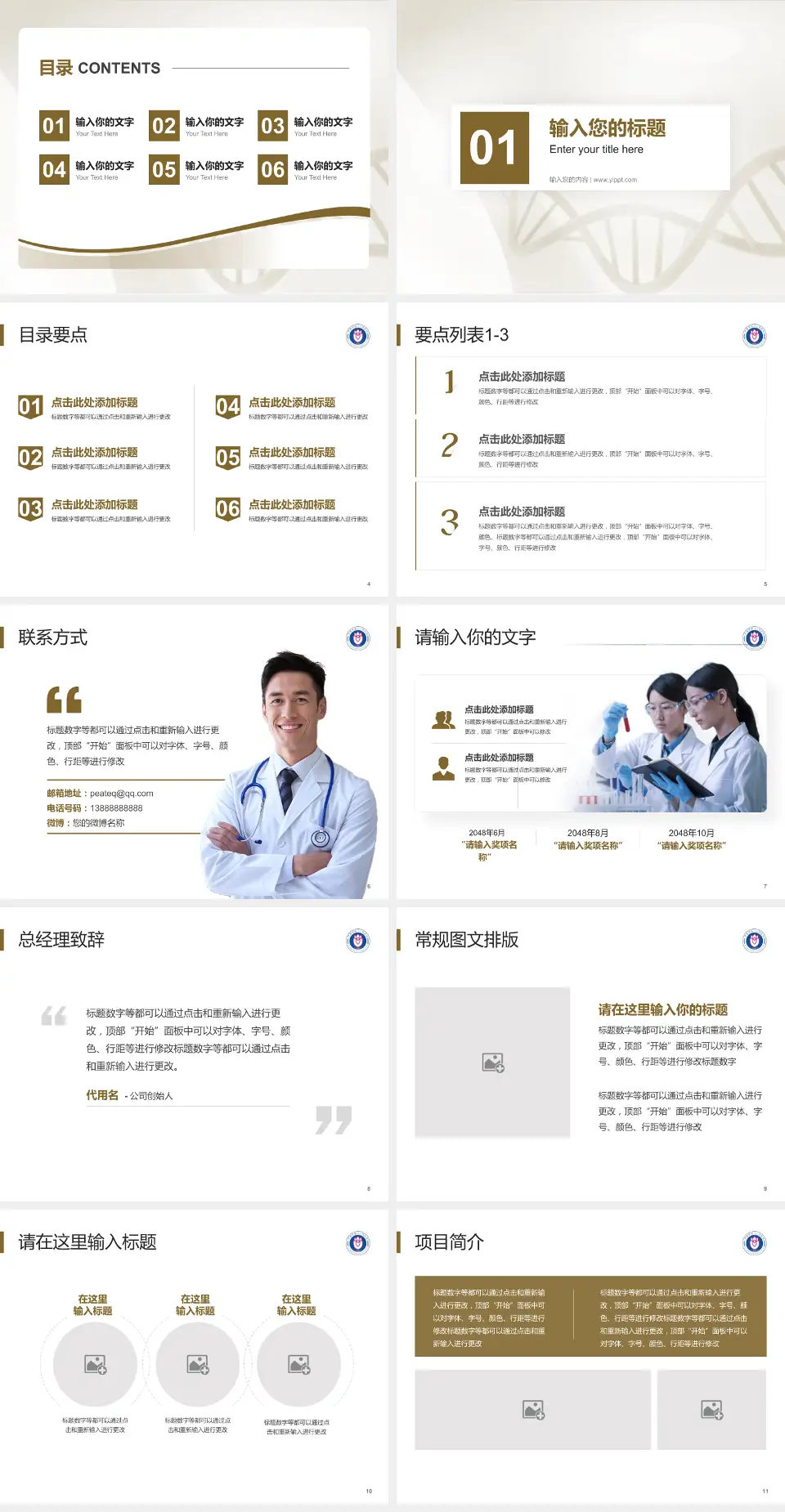 济南市第八人民医院项目申请与汇报PPT模板4:3格式幻灯片预览图2